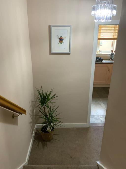 Home From Home, 3 Bedroom House In 하윅 외부 사진